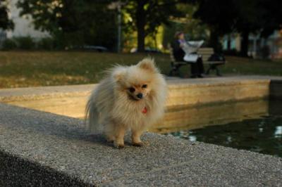 Oct6b_04_267.JPG