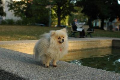 Oct6b_04_271.JPG