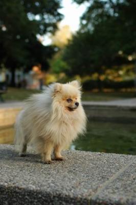 Oct6b_04_293.JPG