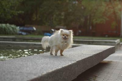 Oct6b_04_320.JPG