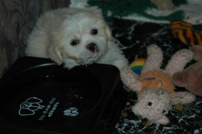 Oct6b_04_366.JPG