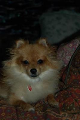 Oct6b_04_385.JPG