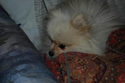 Oct6b_04_389.JPG