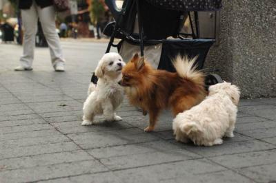 Oct8_04_077.JPG