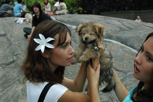 July29d_04_048.JPG