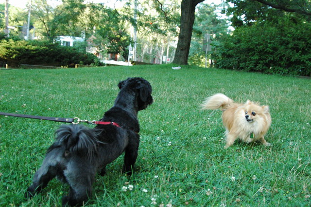 Aug1e_04_042.JPG