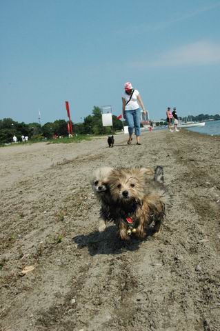 Aug2_04_389.JPG
