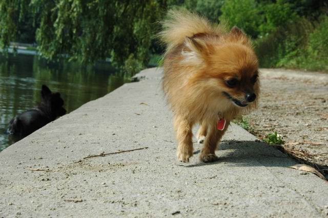 Aug2_04_581.JPG