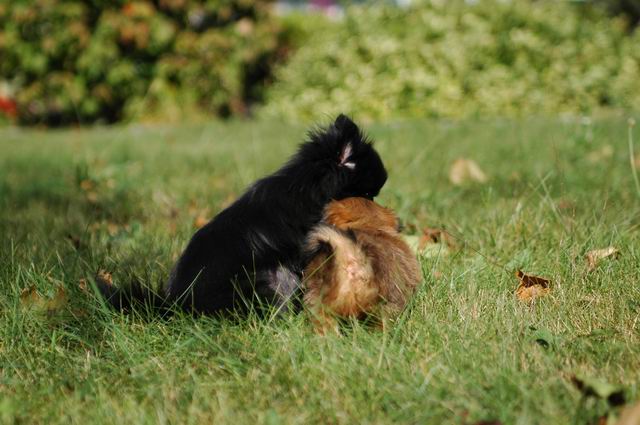 Oct5a_04_652.JPG