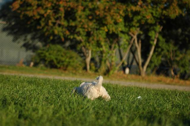 Oct5c_04_068.JPG