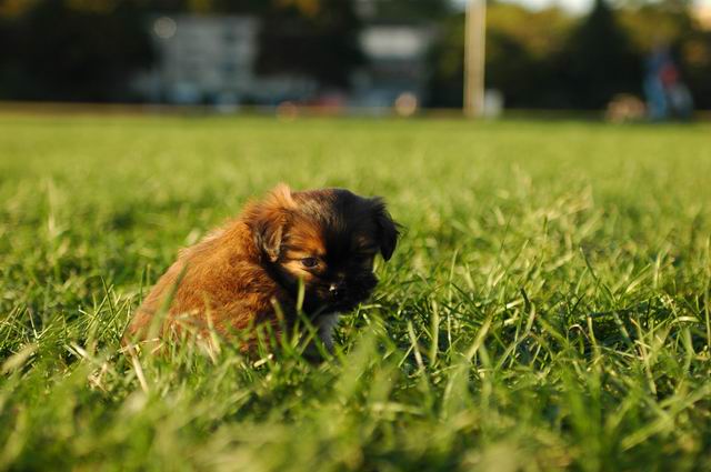 Oct5c_04_358.JPG