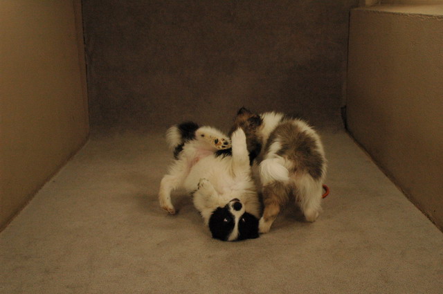 Jan18a_05_052.JPG