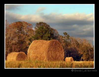 Hay Field at Sunset
