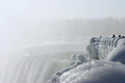 Icey Niagara.jpg