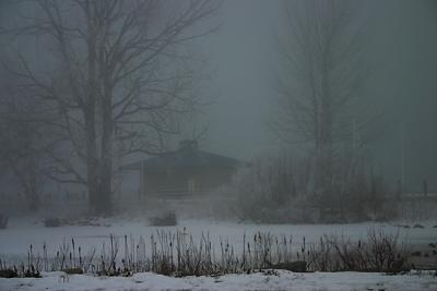 Fog and frost at Frenchmans Bay.jpg