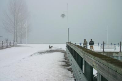 Foggy at the docks.jpg