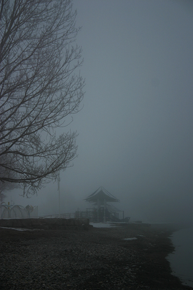 Foggy evening at Frenchmans Bay.jpg