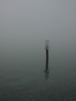 Foggy Lake Ontario.jpg