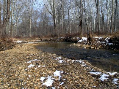 wCreek Walk5.jpg