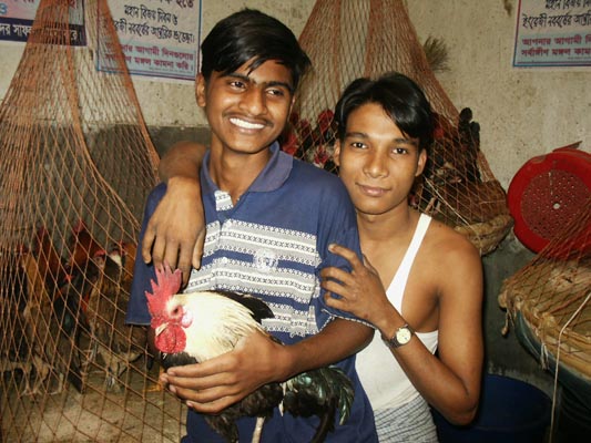 Chicken Market, Dhaka