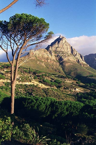 Near Signal Hill, Cape Town