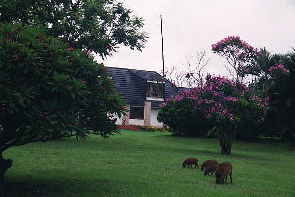 Sondzela Backpacker's Lodge IYHF, just outside Mlilwane