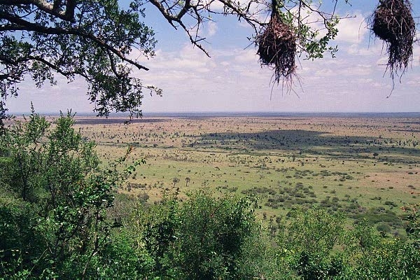 View from a high point over the low veld