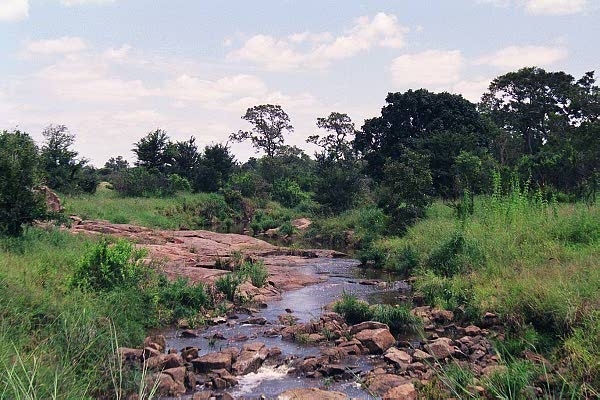 Small river, southern Kruger Park