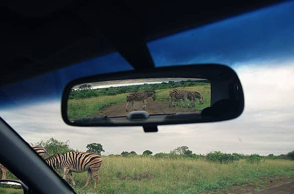 Zebra crossing