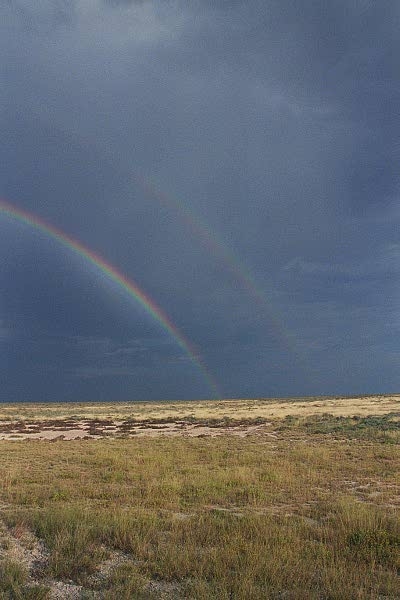 Double Rainbow, Etosha