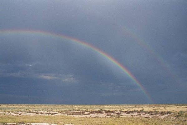 Double Rainbow, Etosha