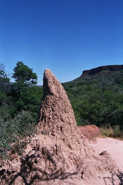 Termite mound, Waterberg, Namibia