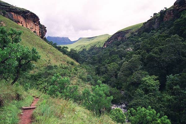 On the trail to the Bushmen's Cave, Giant's Castle