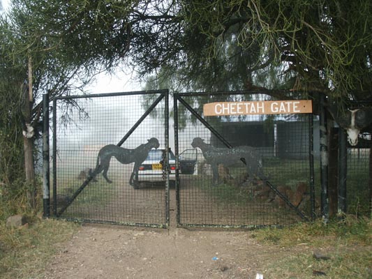 Cheetah Gate to Nairobi National Park, early morning. You can't get an entrance ticket here.