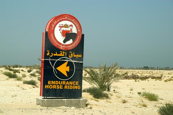 Endurance Horse Racing Center, Bahrain