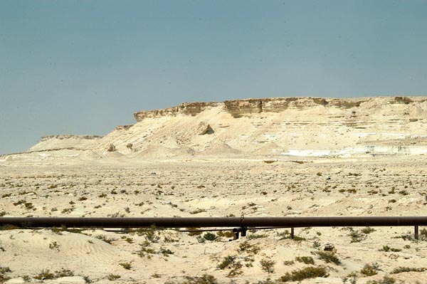 Pipeline near the Tree of Life