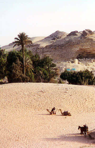 By camel on the Giza plateau