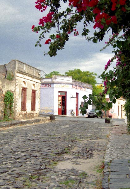 Cobbled street in Colonia