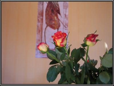Bedroom roses