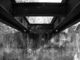 view from under