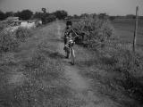and kids biking
