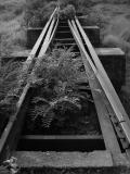 detail of bridge