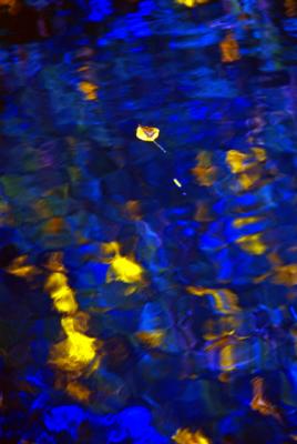 unsorted-0037