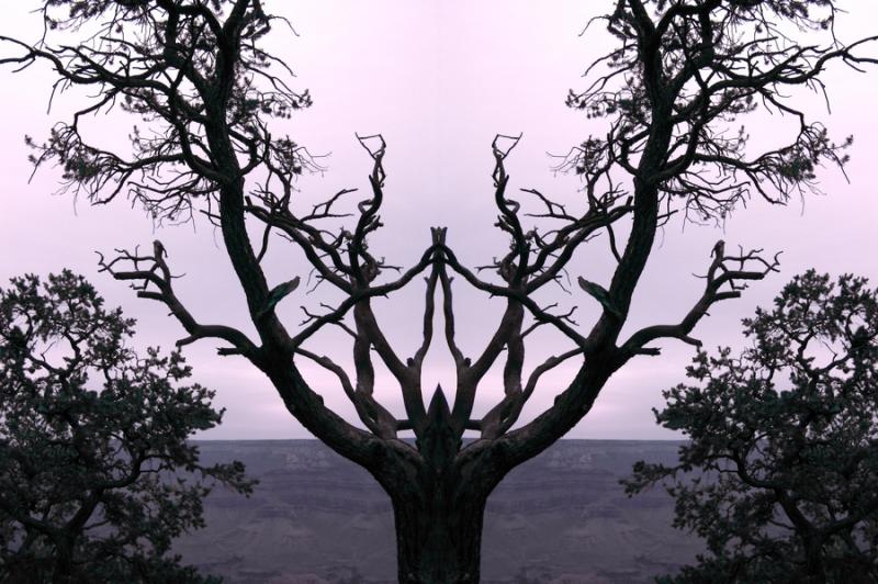 Season of Silence