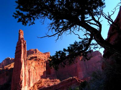 The Titan and a Tree
