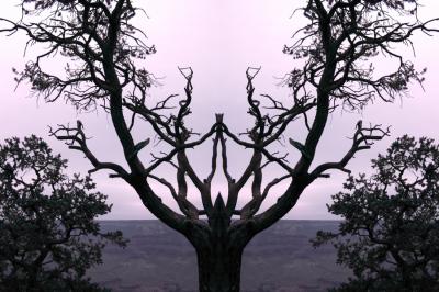 Season of Silence