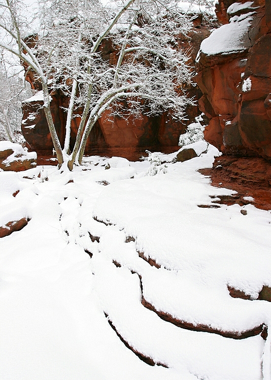 Winter Snow, Oak Creek Canyon