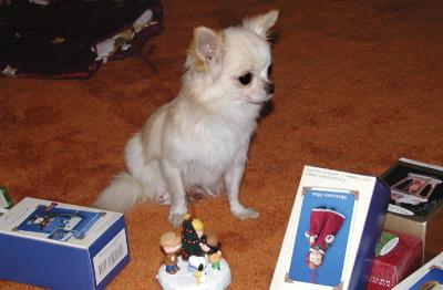 Lucy Helping Get Ready for Christmas 2003