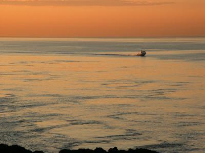 sunset speedboat