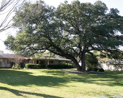Back Yard.jpg